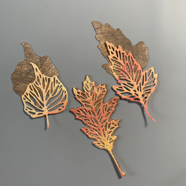 2021-Sept-Neva-FallThanks-Step3