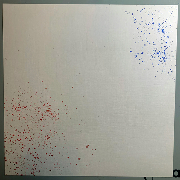 2022_June_Neva_4thofJuly_step4